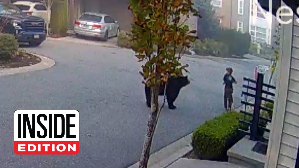7-Year-Old Encounters Massive Bear While Riding&nbsp;Scooter