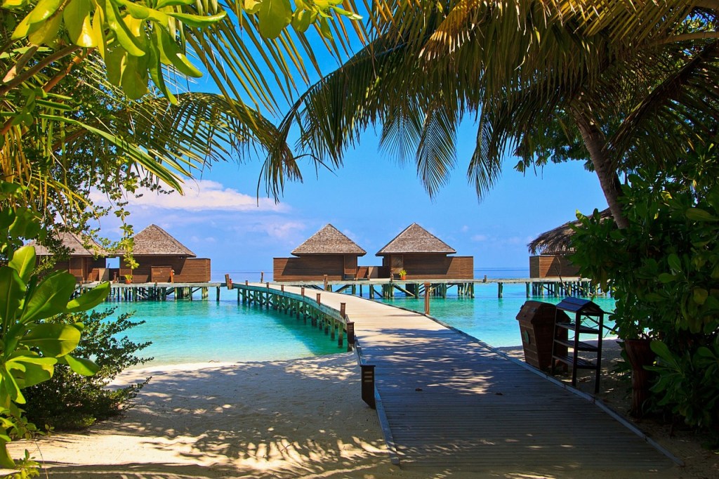 Experience the Serenity of the Maldives: A Perfect Destination for a Relaxing&nbsp;Getaway