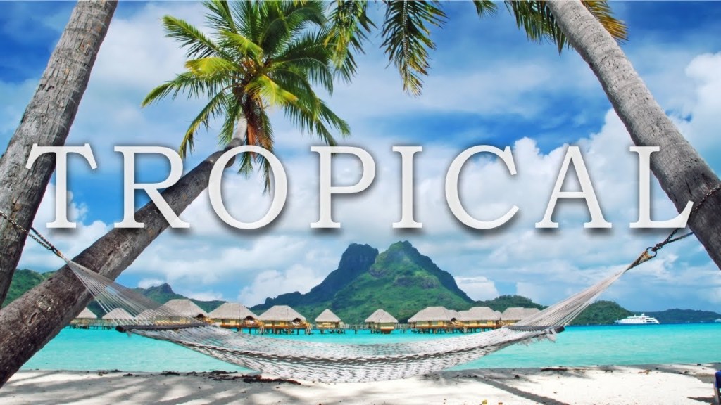 Tropical Caribbean Beach Music Travel Video with Beautiful Views of Beach&nbsp;Destinations